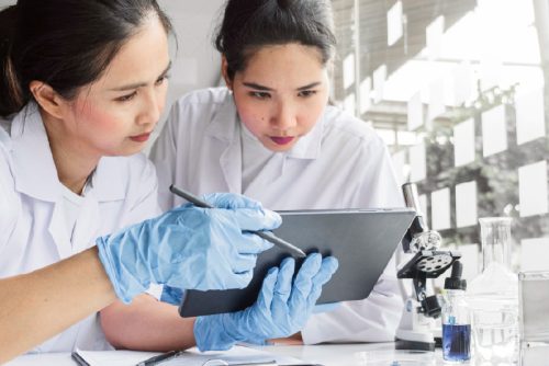 Newton Website Banner -07