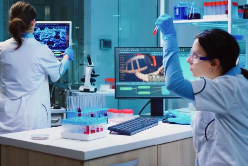 Newton Website Banner -09